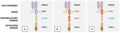 Production and Application of CAR T Cells: Current and Future Role of Europe